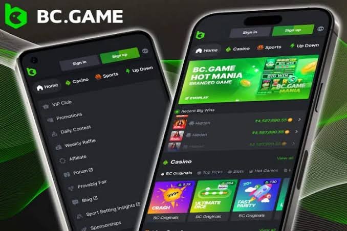 Everything You Need to Know About BC Game Casino Online in Romania Everything You Need to Know About BC Game Casino Online in Romania